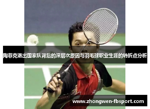 陶菲克退出国家队背后的深层次原因与羽毛球职业生涯的转折点分析