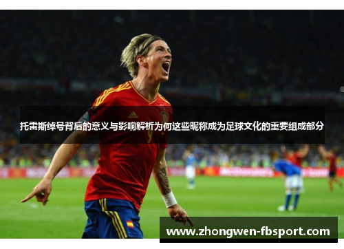 托雷斯绰号背后的意义与影响解析为何这些昵称成为足球文化的重要组成部分