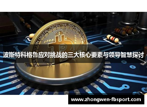 波斯特科格鲁应对挑战的三大核心要素与领导智慧探讨