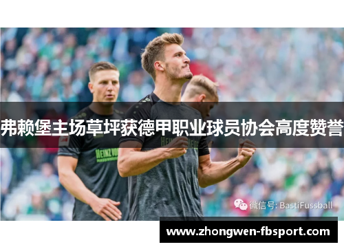 弗赖堡主场草坪获德甲职业球员协会高度赞誉 弗赖堡主场草坪获德甲职业球员协会高度赞誉